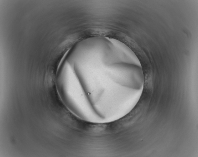 X0000113320474200910051129