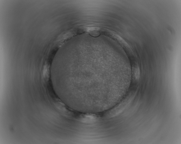 X0000113320475200910051129