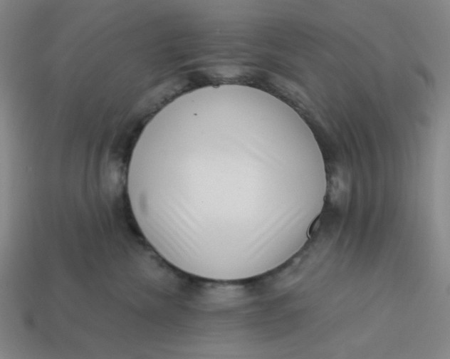 X0000113320476200910051129