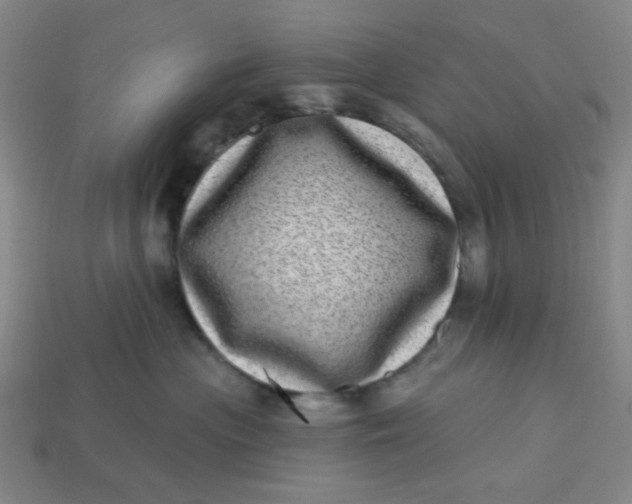 X0000113320477200910051129