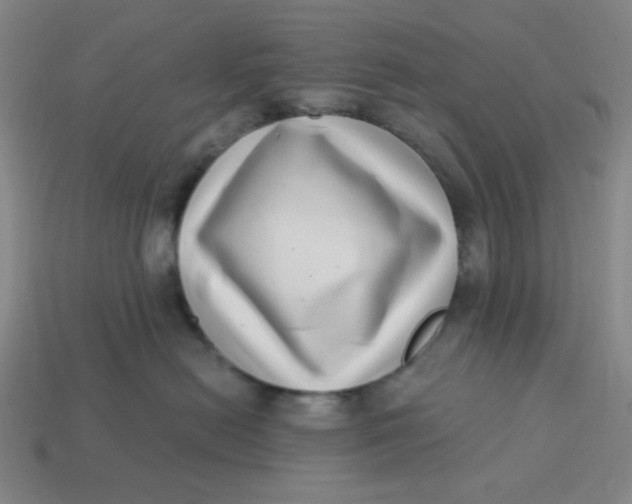 X0000113320478200910051129