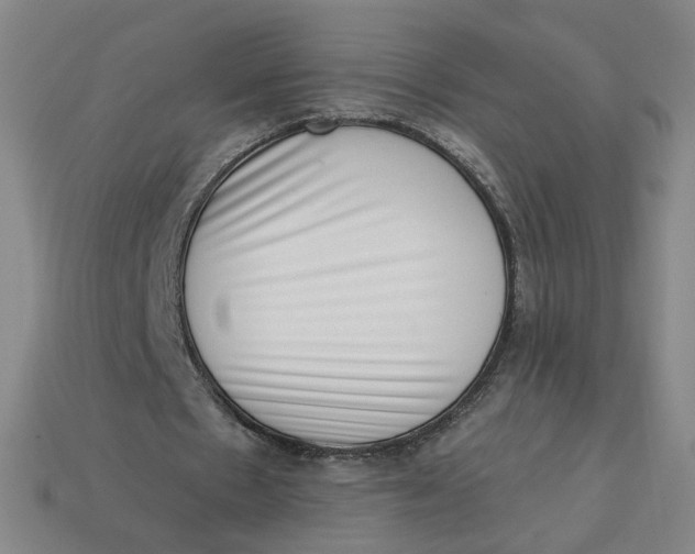 X0000113320481200910051128