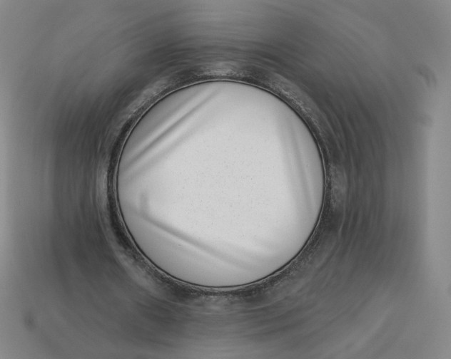 X0000113320482200910051128