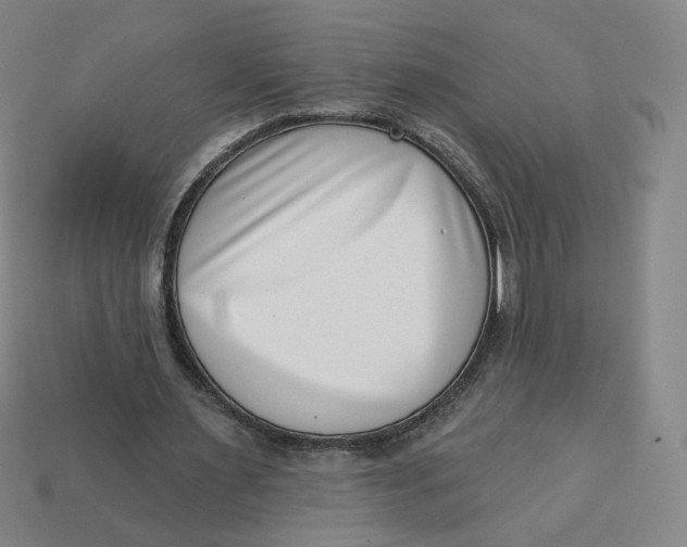 X0000113320483200910051128