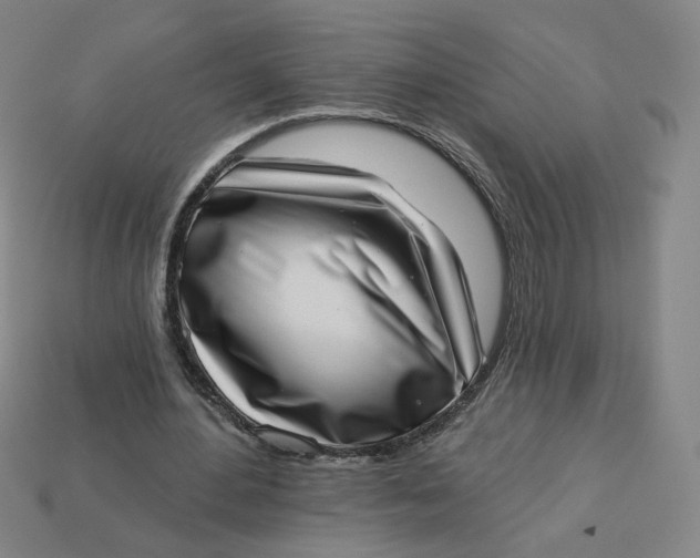 X0000113320484200910051128