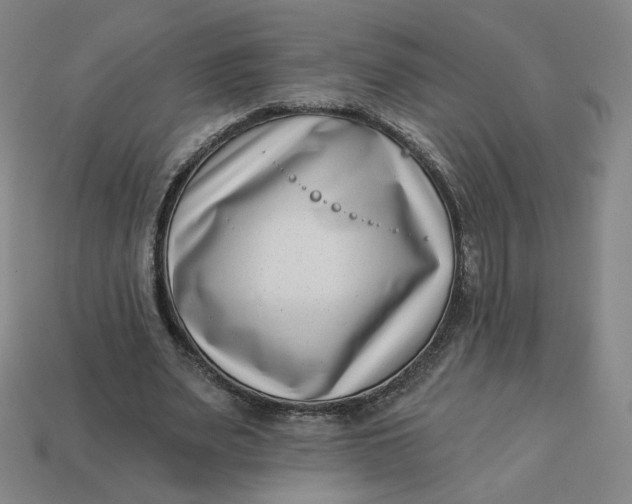 X0000113320487200910051128