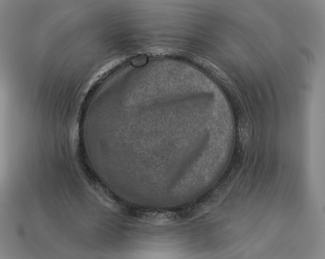 X0000113320488200910051128