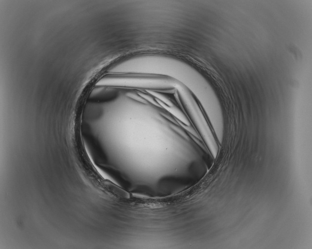 X0000113320492200910051128