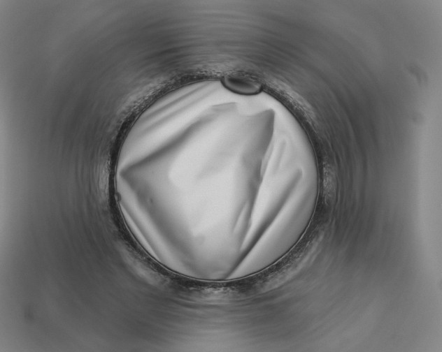 X0000113320493200910051128