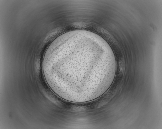 X0000113320494200910051128