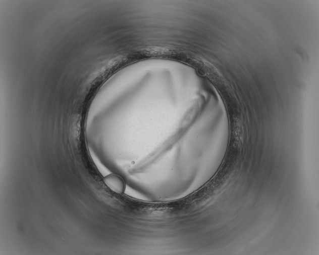 X0000113320495200910051128