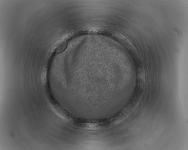 X0000113320496200910051128