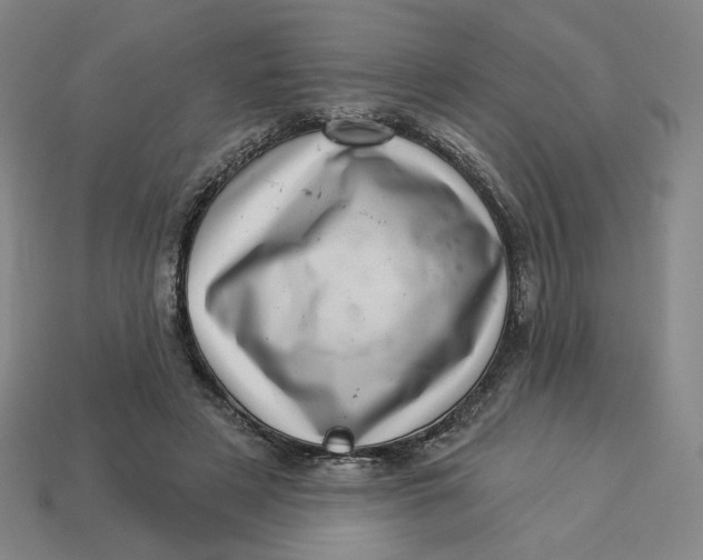 X0000113320497200910051128