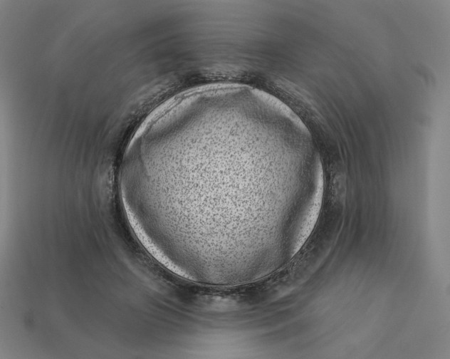 X0000113320498200910051128