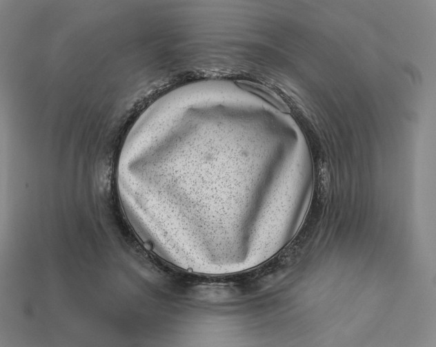 X0000113320499200910051128