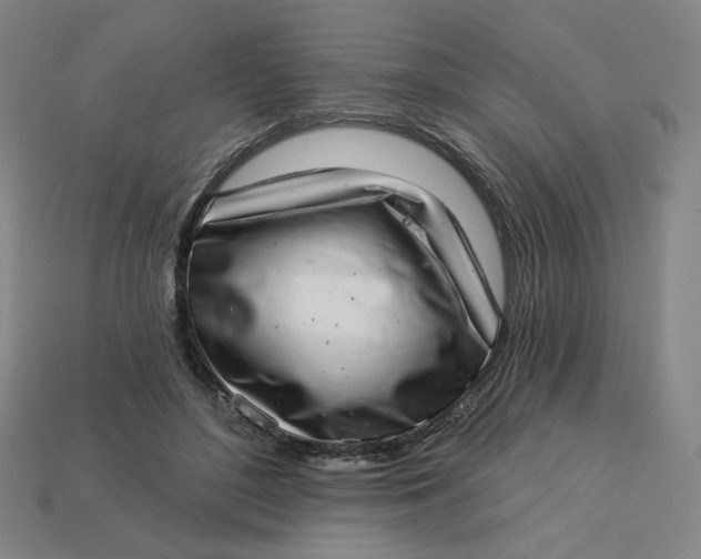 X0000113320500200910051128