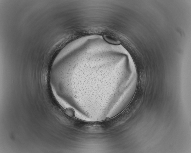 X0000113320501200910051128