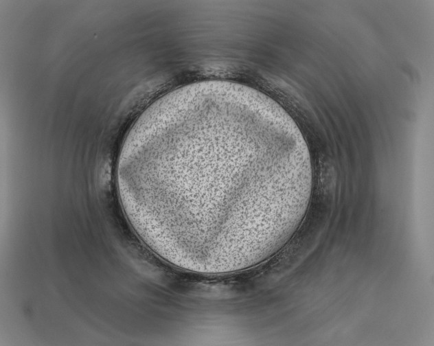 X0000113320502200910051128