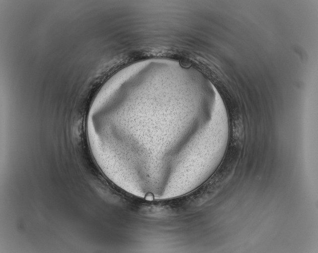 X0000113320503200910051128