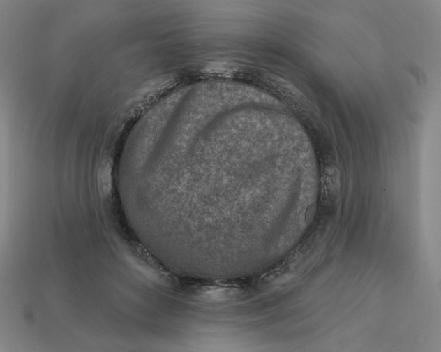 X0000113320504200910051128