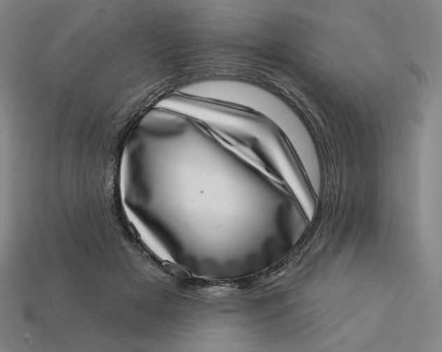 X0000113320505200910051128