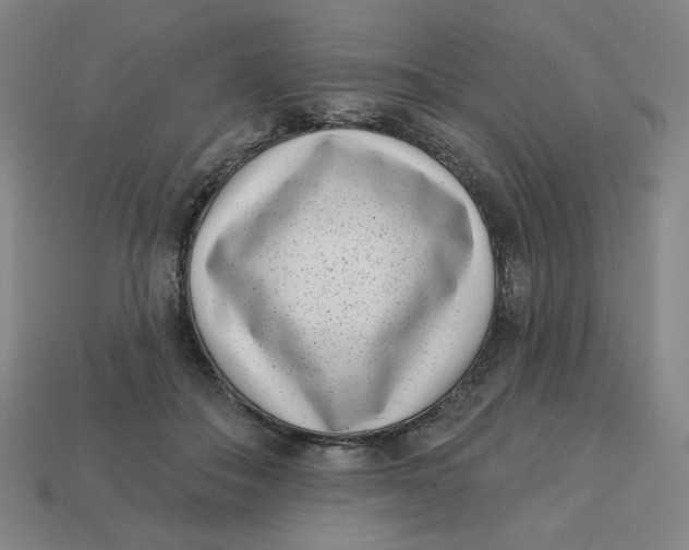 X0000113320506200910051128