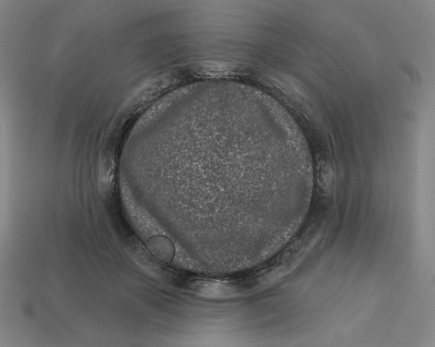 X0000113320507200910051128