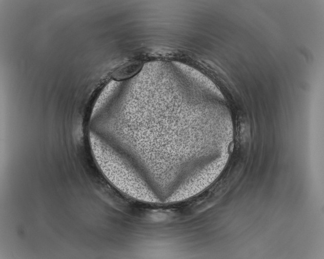 X0000113320508200910051128