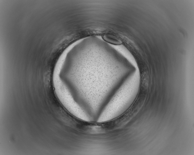 X0000113320509200910051128