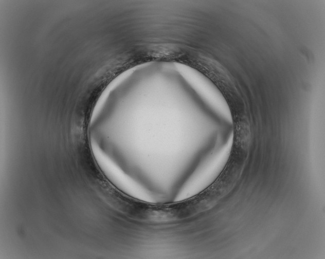 X0000113320510200910051128