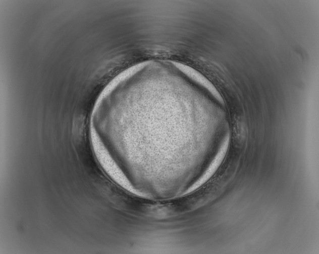 X0000113320511200910051128