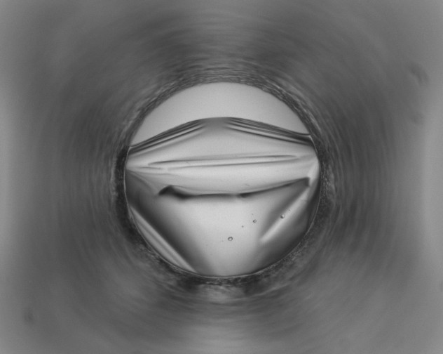 X0000113320512200910051128