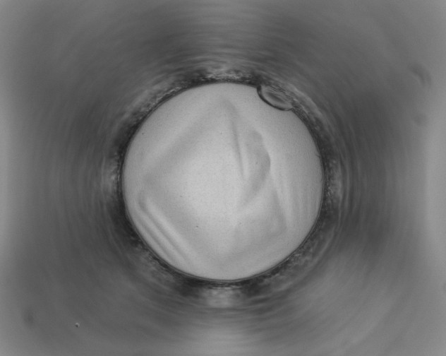 X0000113320513200910051128