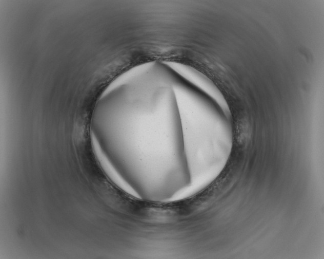 X0000113320515200910051128