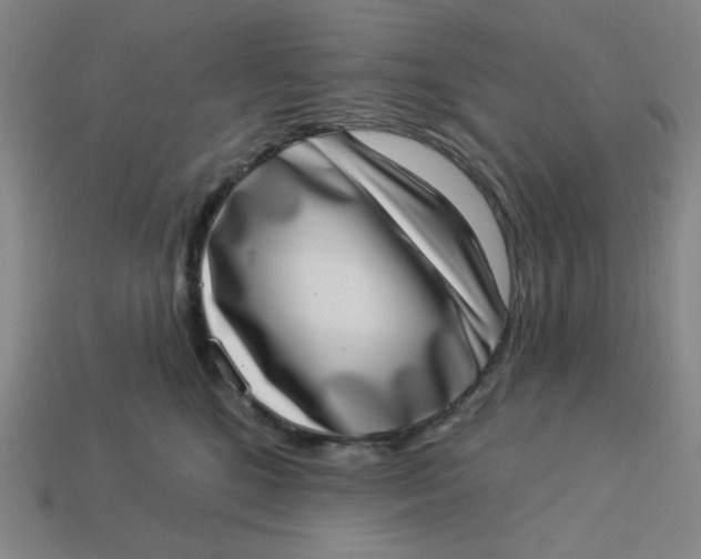 X0000113320520200910051128