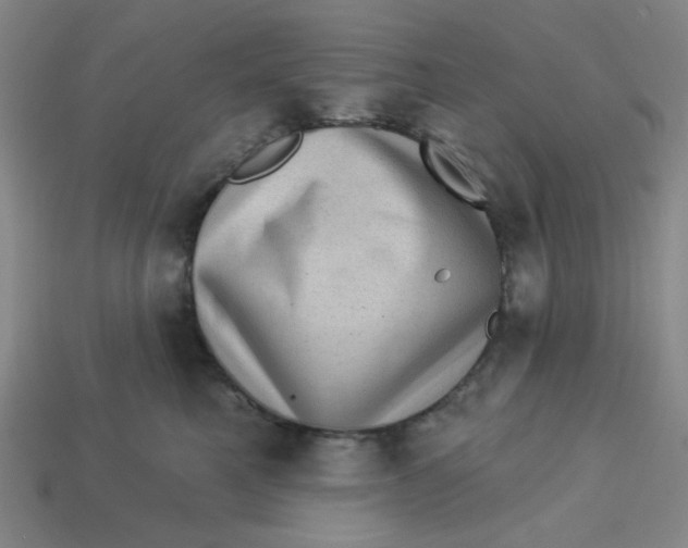 X0000113320521200910051128