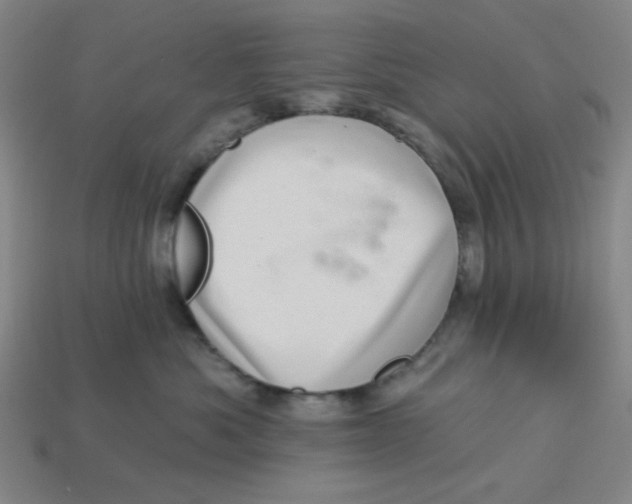 X0000113320525200910051128