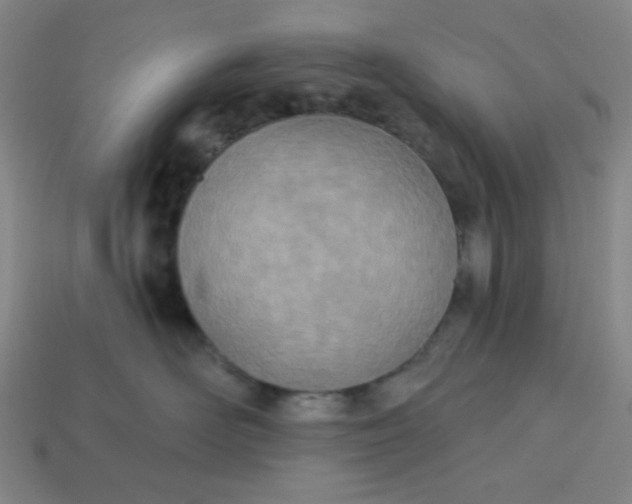 X0000113320526200910051128