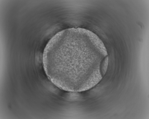 X0000113320528200910051128