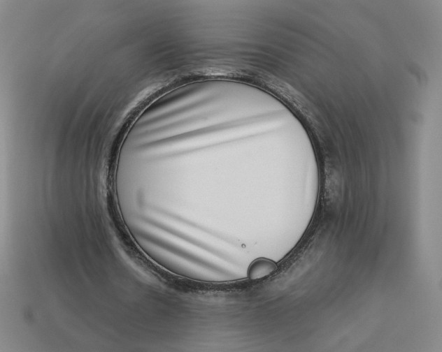 X0000113320530200910051127