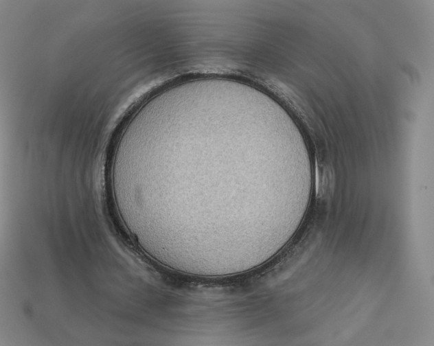 X0000113320531200910051127