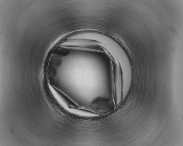 X0000113320532200910051127