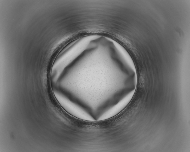 X0000113320535200910051127