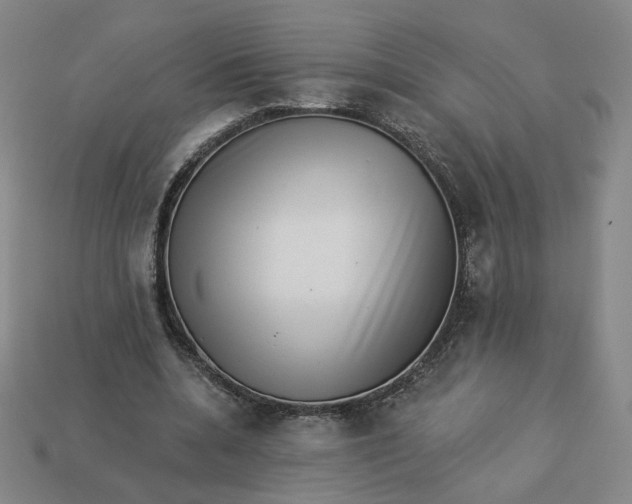 X0000113320536200910051127