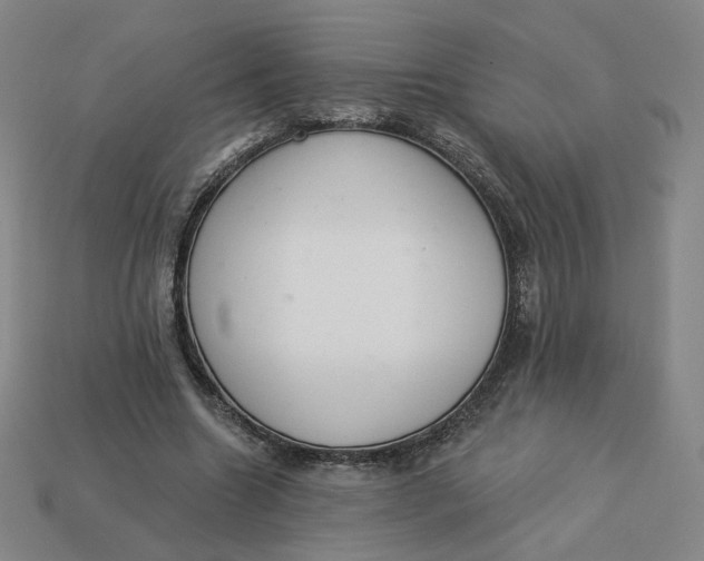 X0000113320538200910051127