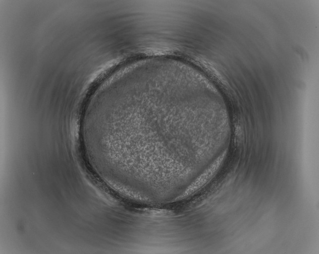 X0000113320539200910051127