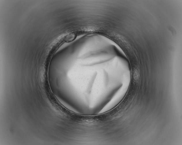 X0000113320540200910051127