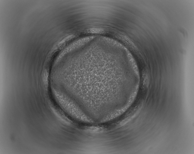 X0000113320542200910051127