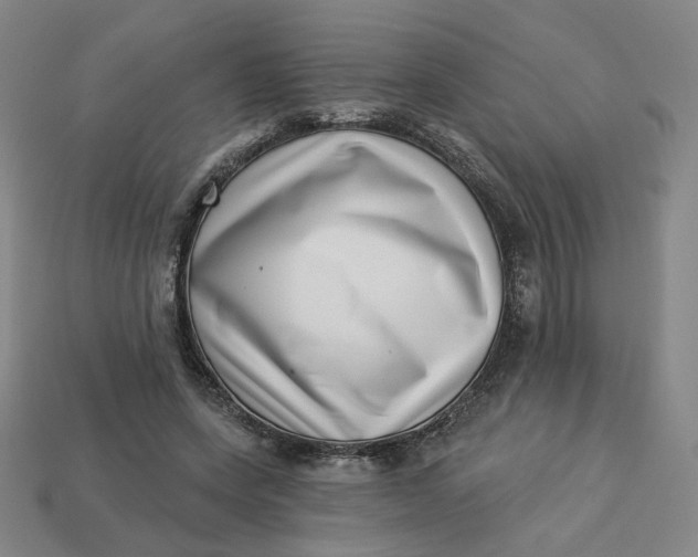 X0000113320543200910051127