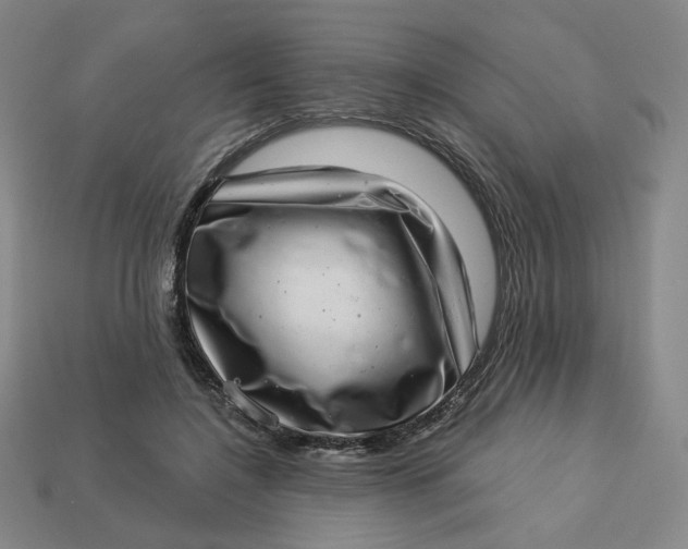 X0000113320548200910051127